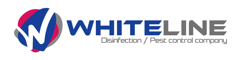 화이트라인 - Disinfection / Pest control company